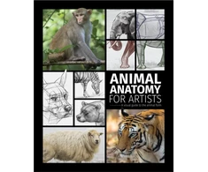 KNYGA 3Dtotal Publishing Animal Anatomy for Artists