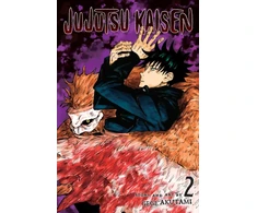 KNYGA Akutami, Gege Jujutsu Kaisen, Vol. 2: Fearsome Womb