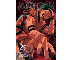 KNYGA Gege Akutami Akutami Gege Jujutsu Kaisen, Vol. 25