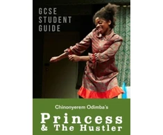 KNYGA Alicia Pope Princess &amp; The Hustler: The GCSE Study Guide