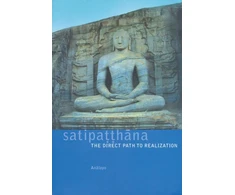 KNYGA Analayo Satipatthana