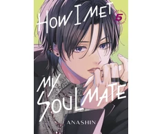 KNYGA Anashin How I Met My Soulmate 5