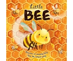 KNYGA Autumn Publishing Little Bee