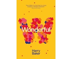 KNYGA Baker, Harry Wonderful: Sunday Times bestselling author