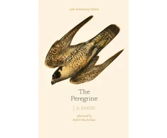 KNYGA Baker J A Peregrine: 50th Anniversary Edition: Afterword by Robert Macfarlane