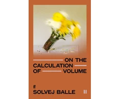 KNYGA Balle Solvej On the Calculation of Volume II: 'A literary phenomenon nearly forty metai in the making' The Cut