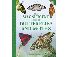 KNYGA Barbara Taylor Magnificent Book of Butterflies and Moths