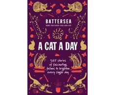 KNYGA Battersea Dogs and Cats Home - A Cat a Day