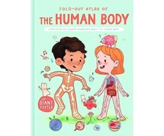 KNYGA Belgium Human Body (Fold-Out Atlas of)