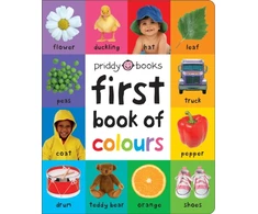 KNYGA Roger Priddy RoGer First 100 Book of Colours