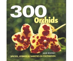 KNYGA Boosey Jane 300 Orchids: Species, Hybrids and Varieties in Cultivation