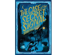 KNYGA Brian Gallagher Case of the Secret Signal