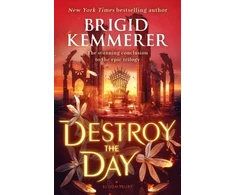 KNYGA Brigid Kemmerer Destroy the Day