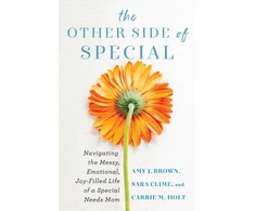 KNYGA SARA Other Side of Special – Navigating the Messy, Emotional, Joy–Filled Life of a Special Needs Mom