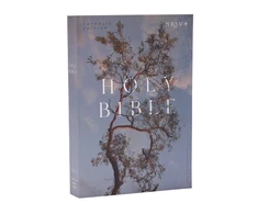 KNYGA Catholic Bible Press NRSV Catholic Edition Bible, Eucalyptus Paperback (Global Cover Series): Holy Bible