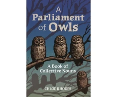 KNYGA Chloe Rhodes Parliament of Owls