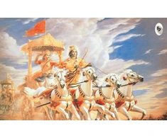KNYGA Chopra, Tarun Holy Cow &amp; Other Indian Stories