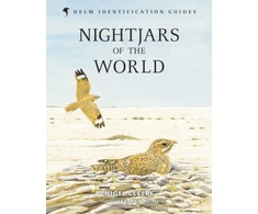 KNYGA Cleere Nigel Nightjars of the World