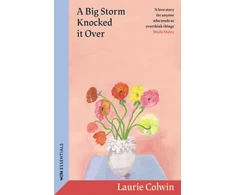 KNYGA Bookshop Colwin Laurie Big Storm Knocked it Over