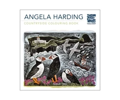 KNYGA Harding Angela Countryside (Angela Harding) Colouring Book