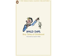 KNYGA Dahl Roald Boy: Tales of Childhood