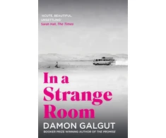 KNYGA Damon Galgut In a Strange Room