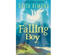KNYGA David Almond Falling Boy