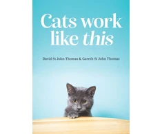 KNYGA John Cats Work Like This