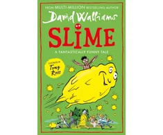 KNYGA David Walliams Glebės