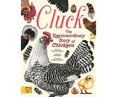 KNYGA De Vlieger, Evelien Cluck!: The Eggstraordinary Story of Chickens