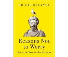 KNYGA Delaney Brigid Reasons Not to Worry: How to be Stoic in chaotic times