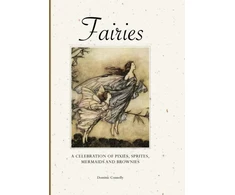 KNYGA Dominic Connolly Fairies