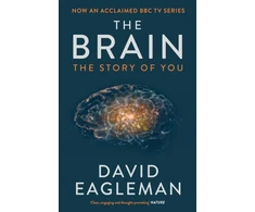 KNYGA Eagleman David Brain: The Story of You