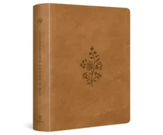 KNYGA T. Desmond Alexander ESV Journaling Study Bible