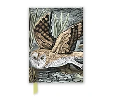 KNYGA Flame Tree Studio Angela Harding: Marsh Owl (Foiled Journal)