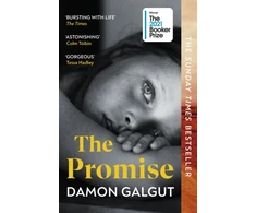 KNYGA Galgut Damon The Promise
