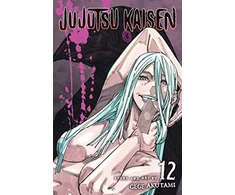 KNYGA Gege Akutami Jujutsu Kaisen, Vol. 12