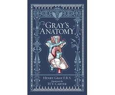 KNYGA Gray Henry Gray's Anatomy