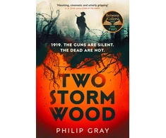 KNYGA Gray Philip Two Storm Wood: Uncover an unsettling mystery of World War One in the The Times Thriller of the Year