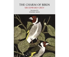 KNYGA Grey Edward Charm of Birds