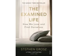 KNYGA Grosz Stephen Examined Life: How We Lose and Find Ourselves