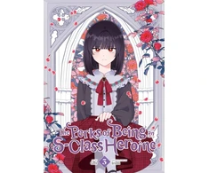 KNYGA Grrr; Irinbi, Irinbi Perks of Being an S-Class Heroine, Vol. 3