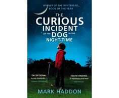 KNYGA Haddon, Mark Curious Incident of the Dog in the Night-time