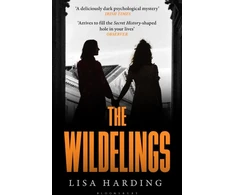 KNYGA Harding Lisa Wildelings: ‘A deliciously dark psychological mystery’ IRISH TIMES