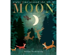 KNYGA Hegarty, Patricia; Teckentrup, Britta Moon: night-time around the world