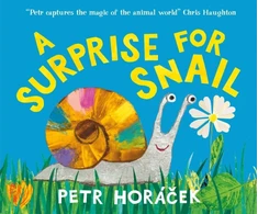 KNYGA Horacek Petr Surprise for Snail