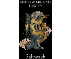 KNYGA Hurley Andrew M Saltwash, The chilling new novel from the 'master of menace'