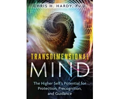 KNYGA Bear Transdimensional Mind