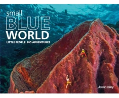 KNYGA Jason Isley Isley Jason Small Mėlyna World: Little People. Big Adventures