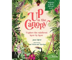 KNYGA James Aldred Up in the Canopy